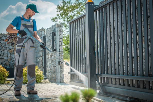 Best Gutter Cleaning  in Zeigler, IL